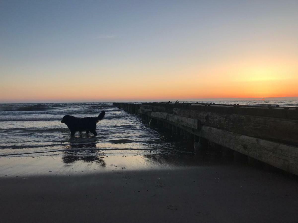Lacu Namins/Bear House Liepaja Bagian luar foto